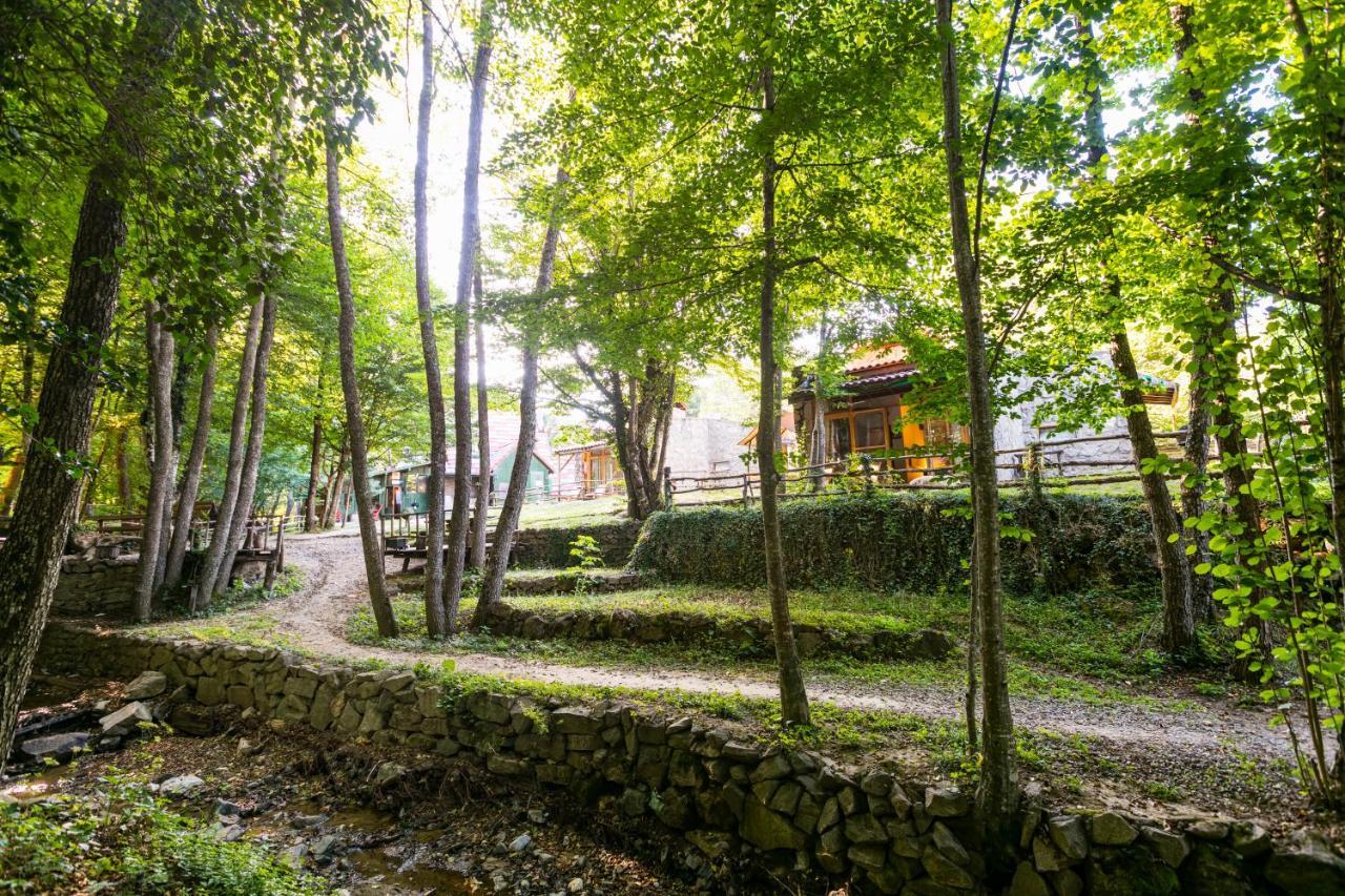 Hindiba Doga Evi Mengen Exterior foto
